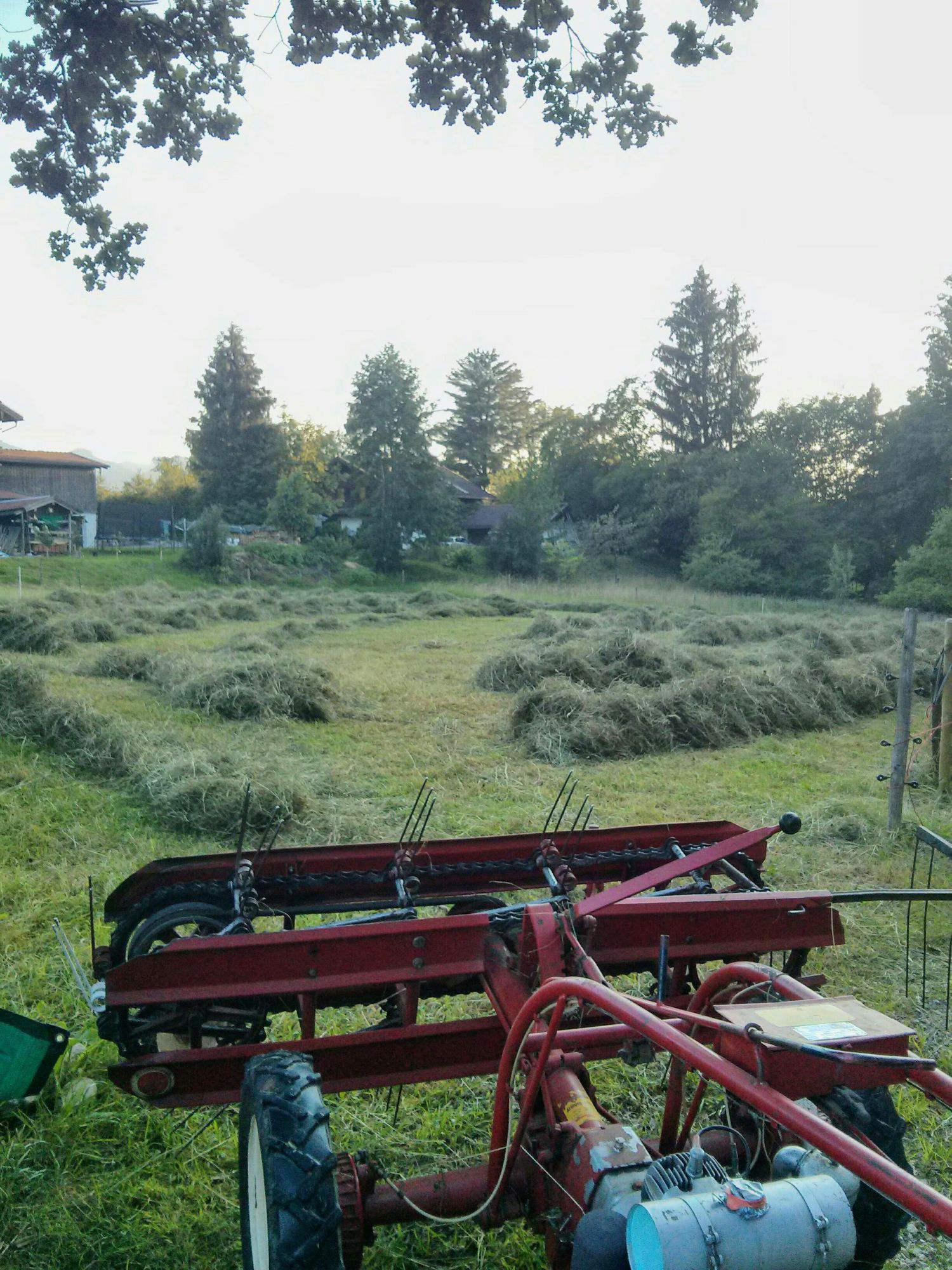 Da wir weder eine Scheune noch einen Traktor oder größere Maschinen besitzen, machen wir einige Dinge anders als in der modernen Landwirtschaft üblich