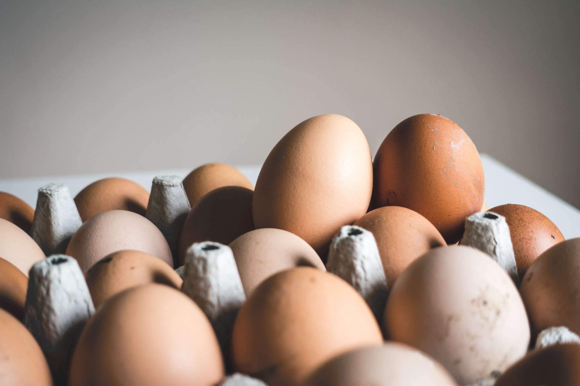 Eier vom Osterbuchberg - im Chiemgau